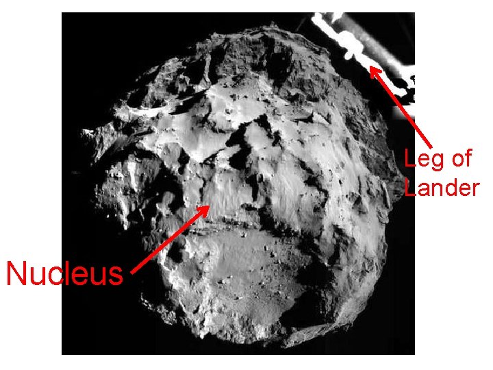 Leg of Lander Nucleus 