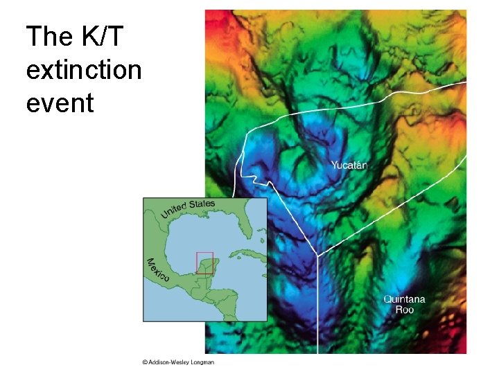 The K/T extinction event 