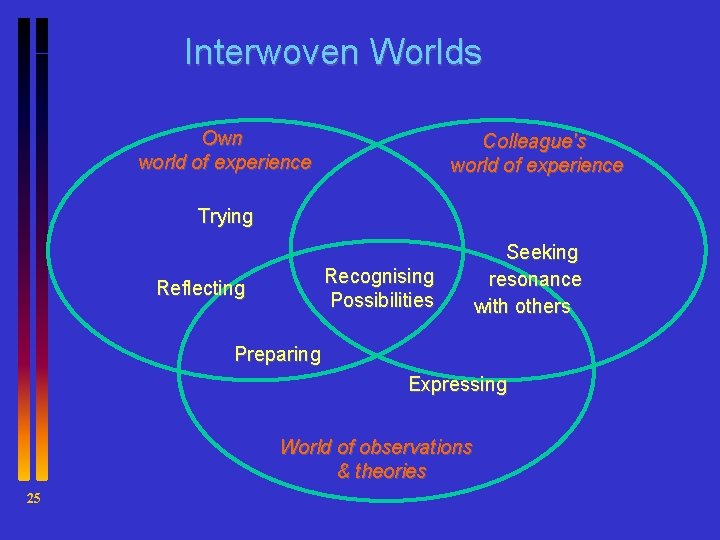 Interwoven Worlds Own world of experience Colleague's world of experience Trying Recognising Possibilities Reflecting