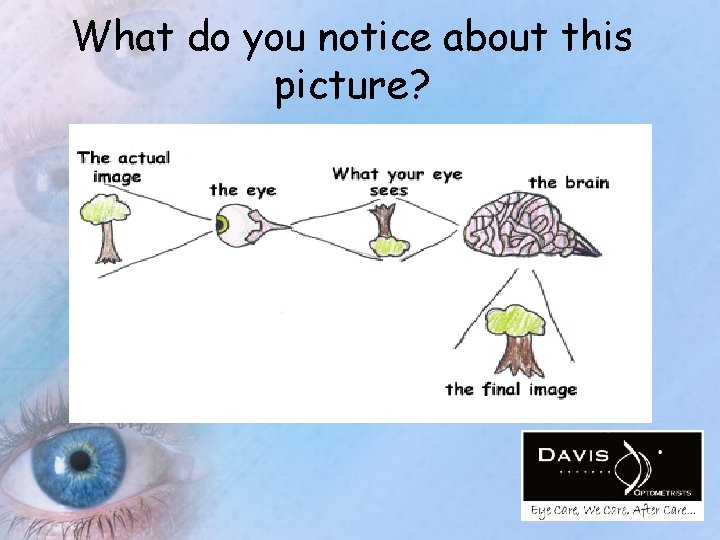 What do you notice about this picture? 