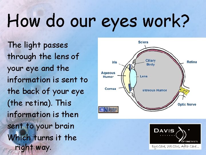 How do our eyes work? The light passes through the lens of your eye