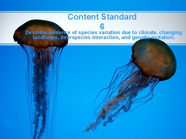 Content Standard 6 Describe evidence of species variation due to climate, changing landforms, interspecies