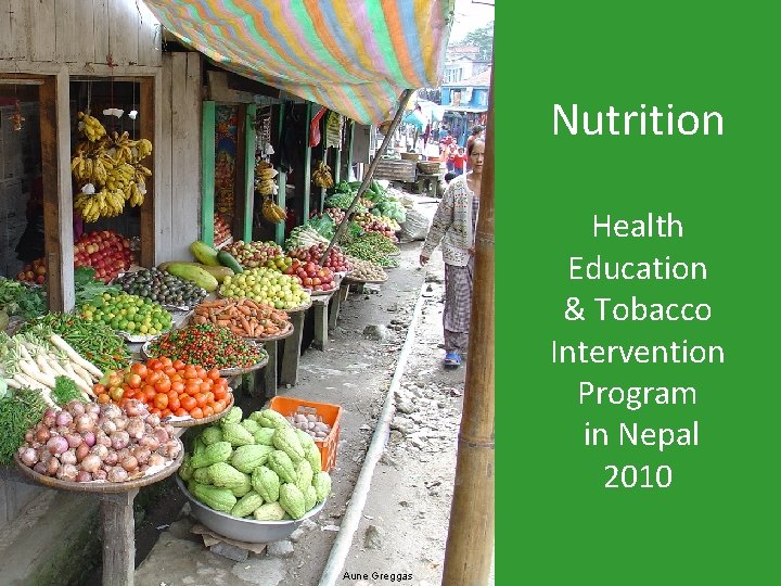 Nutrition Health Education & Tobacco Intervention Program in Nepal 2010 Aune Greggas 
