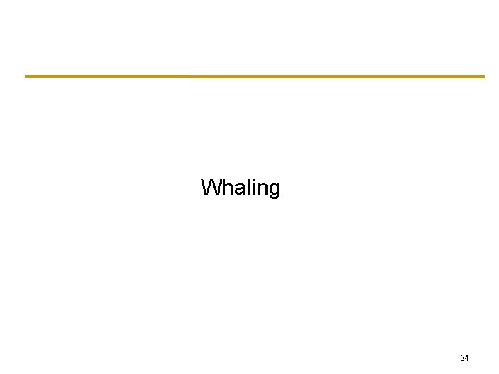 Whaling 24 
