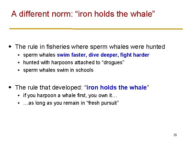 A different norm: “iron holds the whale” w The rule in fisheries where sperm