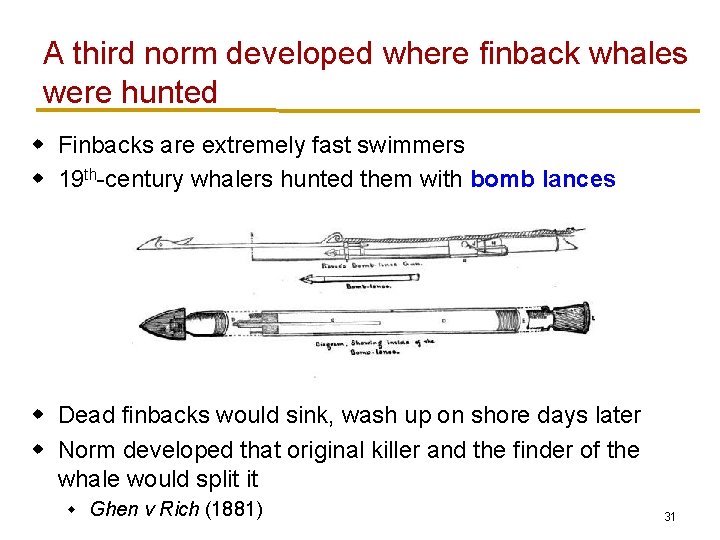 A third norm developed where finback whales were hunted w Finbacks are extremely fast