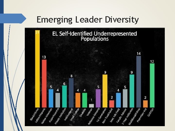 Emerging Leader Diversity 