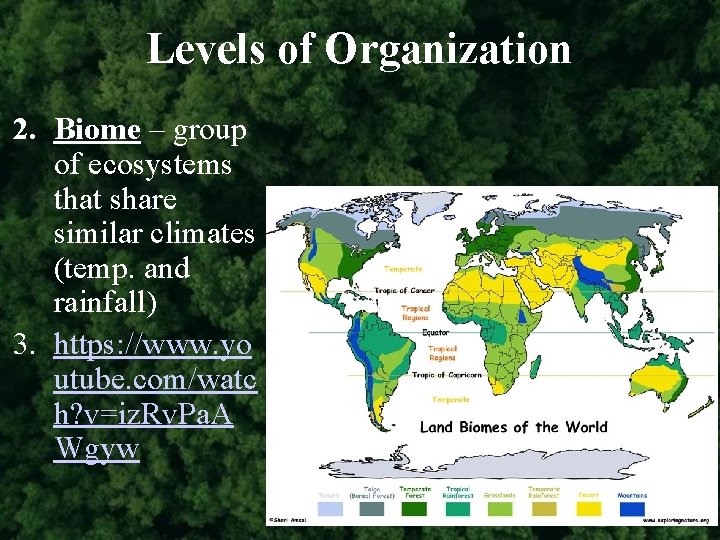 Levels of Organization 2. Biome – group of ecosystems that share similar climates (temp.