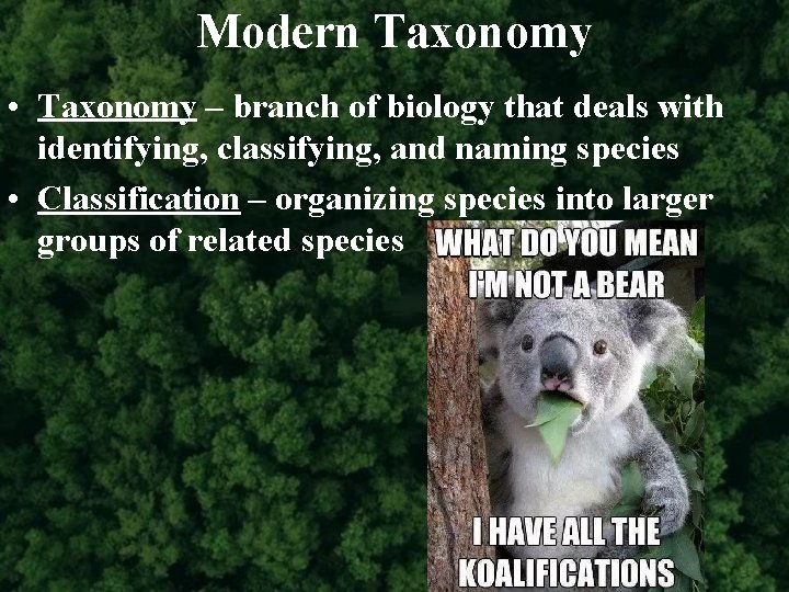 Modern Taxonomy • Taxonomy – branch of biology that deals with identifying, classifying, and