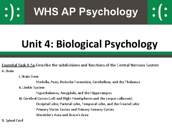 WHS AP Psychology Unit 4: Biological Psychology Essential Task 4 -5 a. Describe the