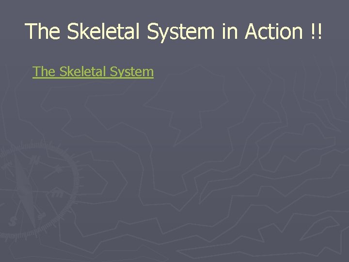 The Skeletal System in Action !! The Skeletal System 