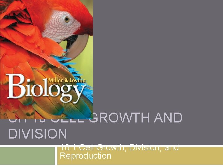 CH 10 CELL GROWTH AND DIVISION 10 1