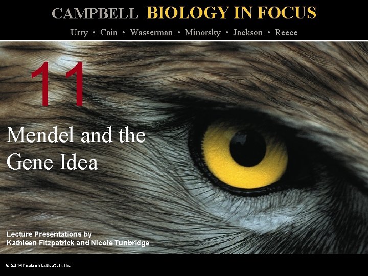 CAMPBELL BIOLOGY IN FOCUS Urry • Cain • Wasserman • Minorsky • Jackson •