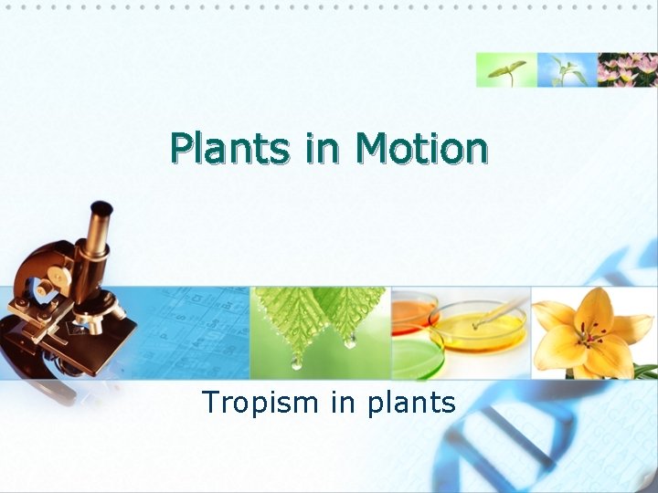 Plants in Motion Tropism in plants 