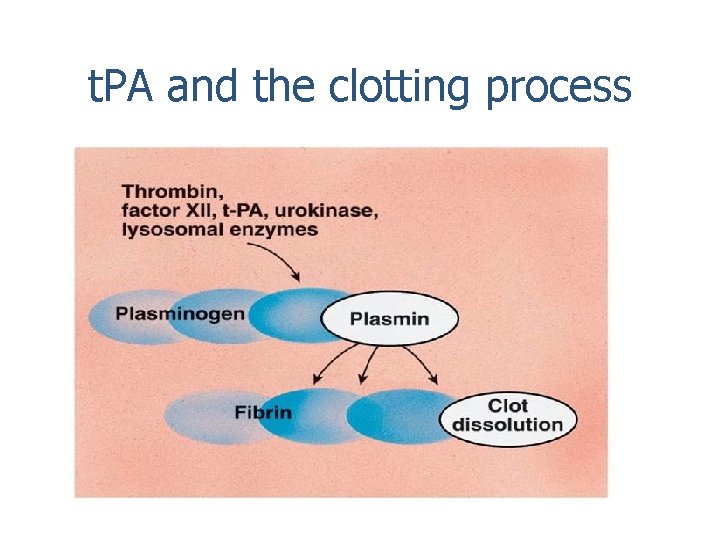 t. PA and the clotting process 