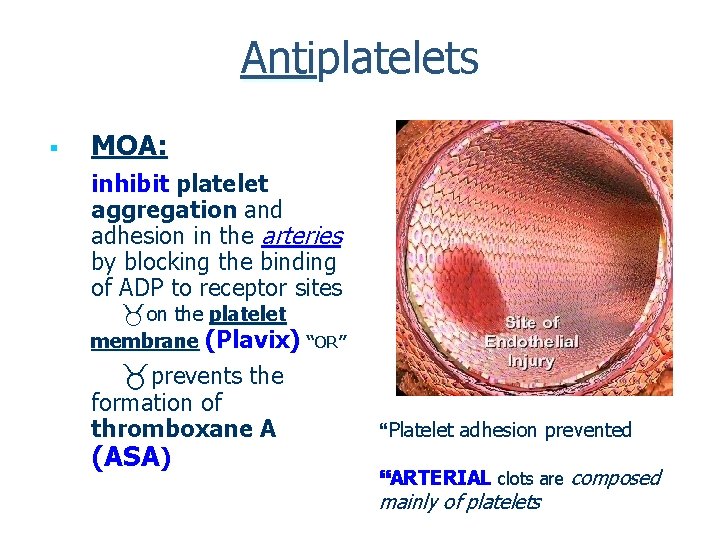 Antiplatelets § MOA: inhibit platelet aggregation and adhesion in the arteries by blocking the