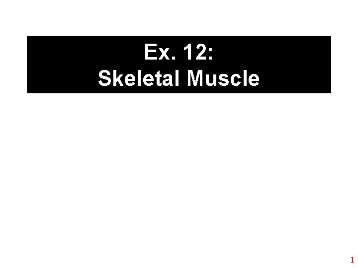 Ex. 12: Skeletal Muscle 1 