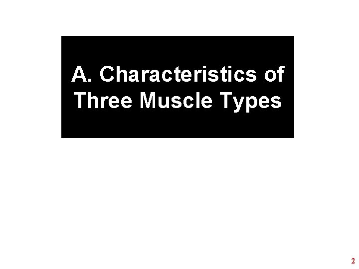 A. Characteristics of Three Muscle Types 2 