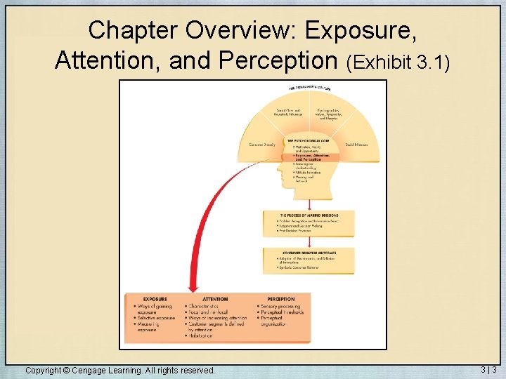 Chapter Overview: Exposure, Attention, and Perception (Exhibit 3. 1) Copyright © Cengage Learning. All