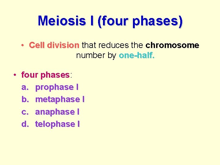 Meiosis I (four phases) • Cell division that reduces the chromosome number by one-half.