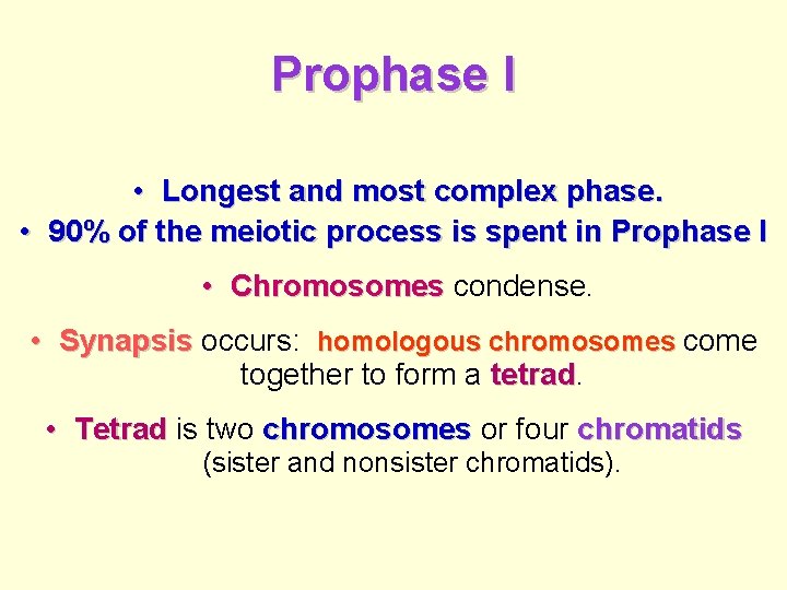 Prophase I • Longest and most complex phase. • 90% of the meiotic process