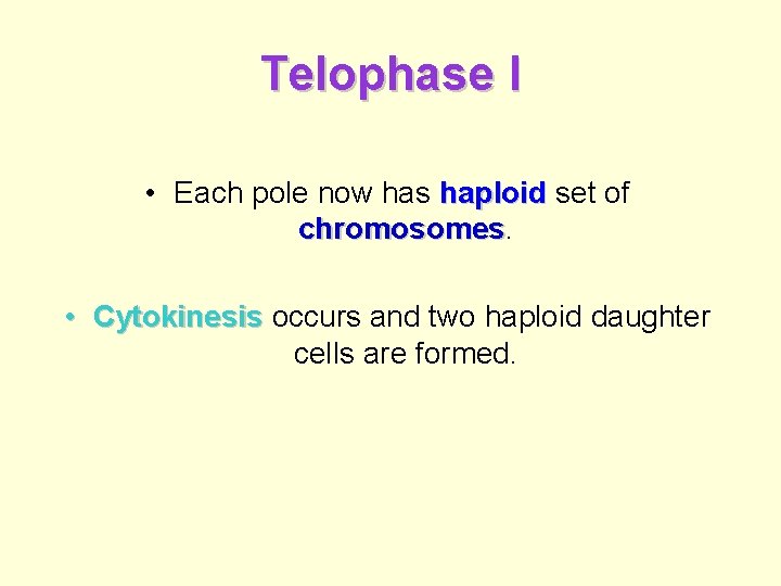 Telophase I • Each pole now has haploid set of chromosomes • Cytokinesis occurs