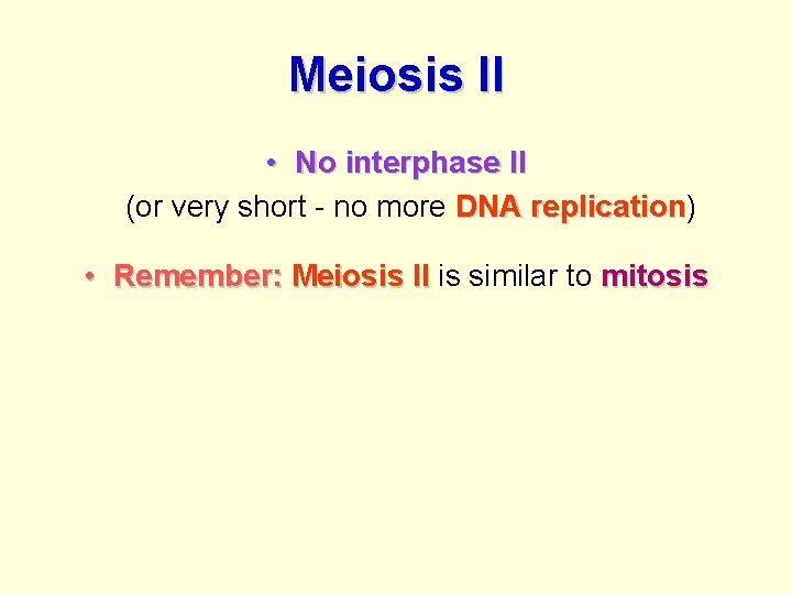 Meiosis II • No interphase II (or very short - no more DNA replication)