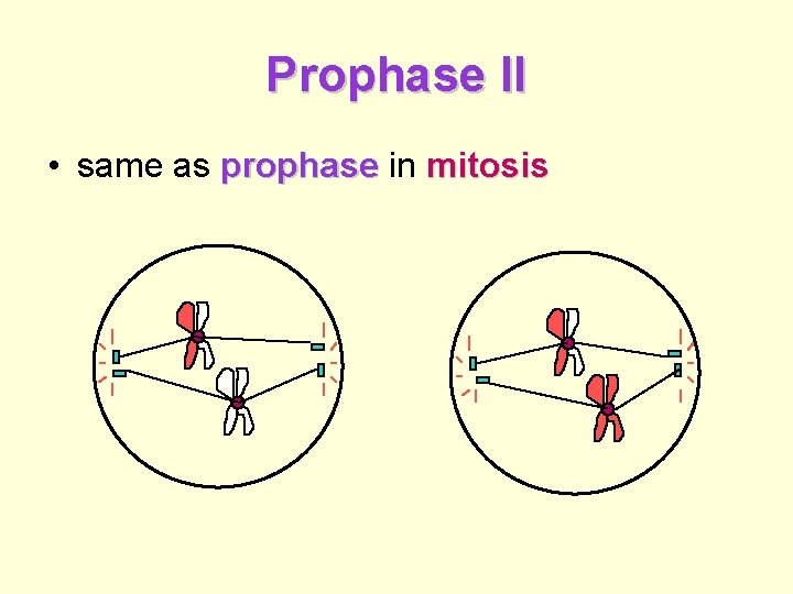 Prophase II • same as prophase in mitosis 