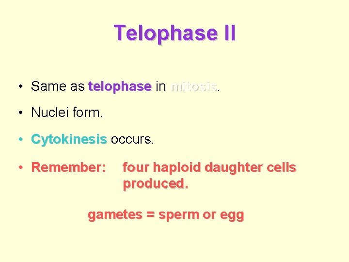 Telophase II • Same as telophase in mitosis • Nuclei form. • Cytokinesis occurs.