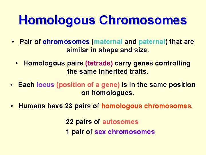 Homologous Chromosomes • Pair of chromosomes (maternal and paternal) paternal that are similar in