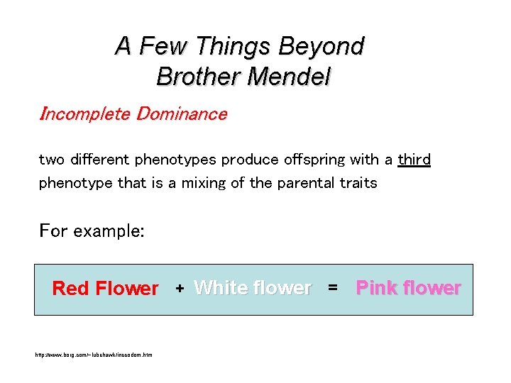 A Few Things Beyond Brother Mendel Incomplete Dominance two different phenotypes produce offspring with