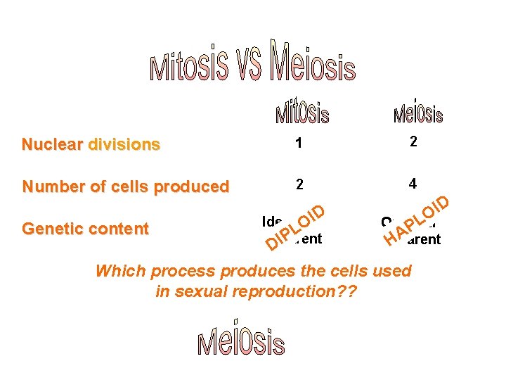 Nuclear divisions 1 2 Number of cells produced 2 4 Genetic content ID Identical