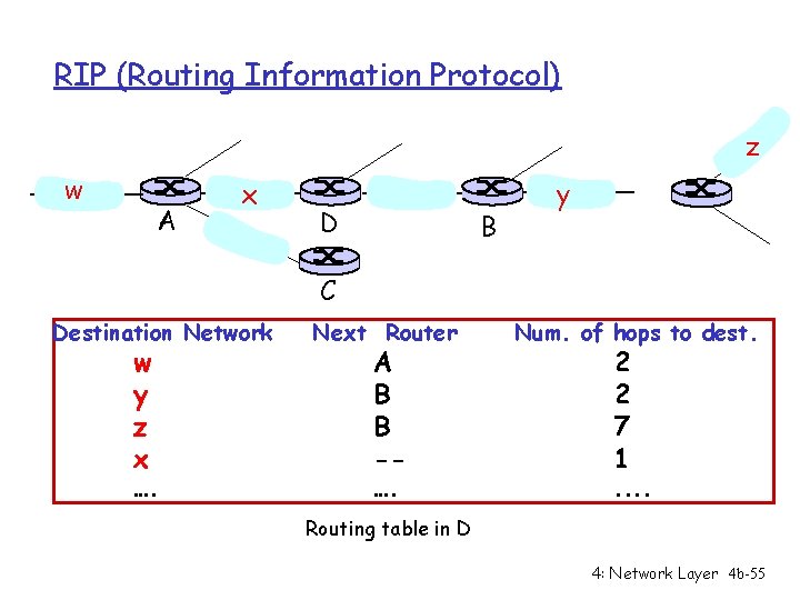 RIP (Routing Information Protocol) z w A x D B y C Destination Network