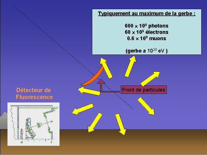 Typiquement au. Excitation maximumdu de la gerbe : diazote de l’air 9 600 10