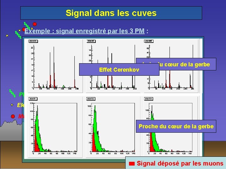 Signal dans les cuves Exemple : signal enregistré par les 3 PM : Effet