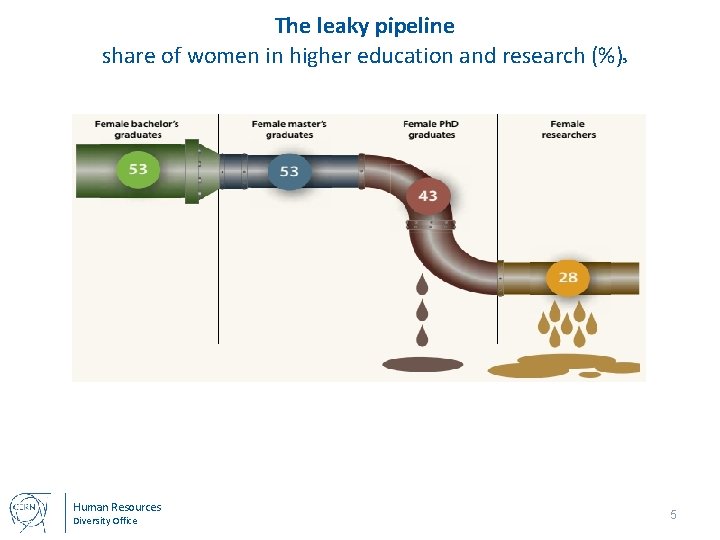 The leaky pipeline share of women in higher education and research (%) Human Resources