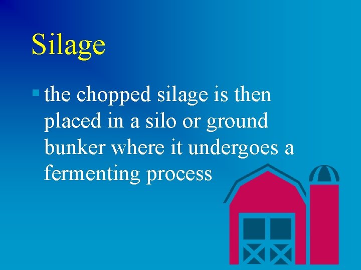 Silage § the chopped silage is then placed in a silo or ground bunker