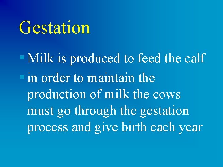 Gestation § Milk is produced to feed the calf § in order to maintain