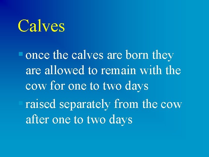 Calves § once the calves are born they are allowed to remain with the