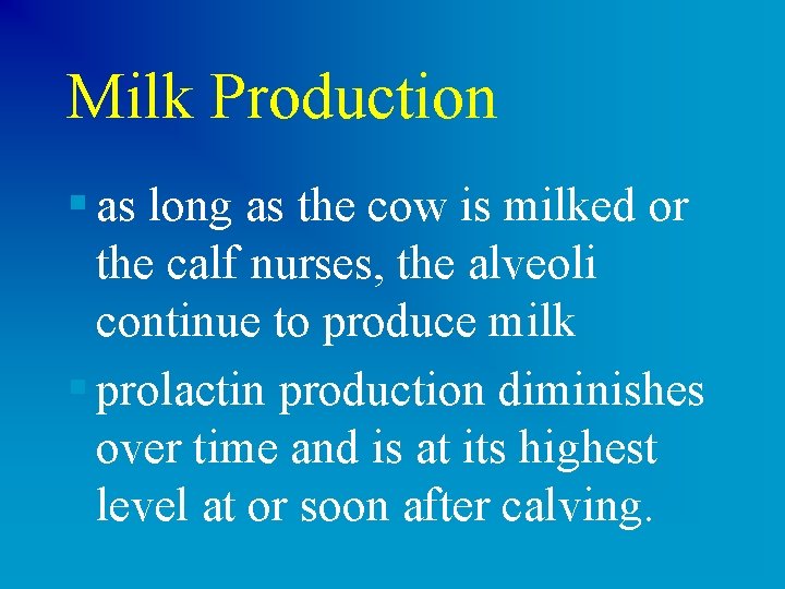 Milk Production § as long as the cow is milked or the calf nurses,