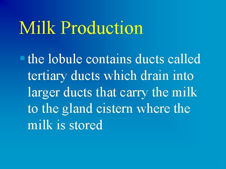 Milk Production § the lobule contains ducts called tertiary ducts which drain into larger