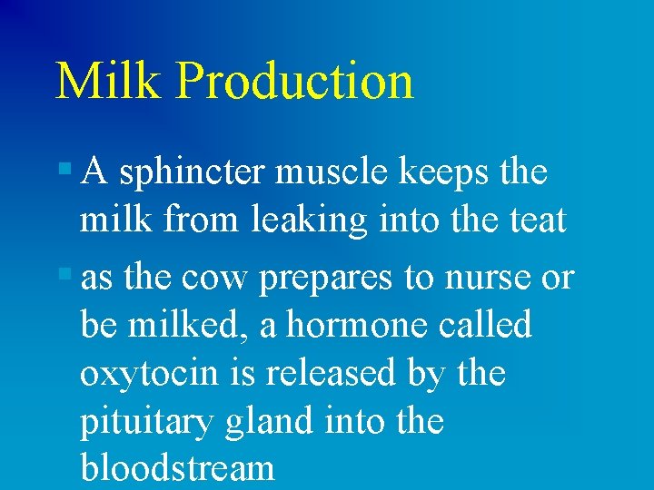 Milk Production § A sphincter muscle keeps the milk from leaking into the teat