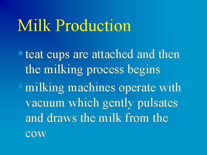 Milk Production § teat cups are attached and then the milking process begins §