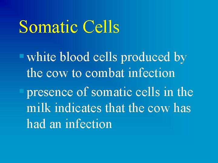 Somatic Cells § white blood cells produced by the cow to combat infection §
