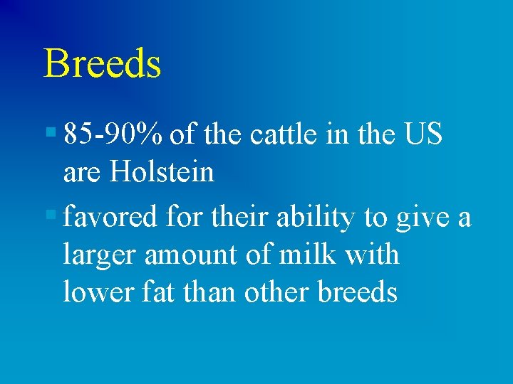 Breeds § 85 -90% of the cattle in the US are Holstein § favored