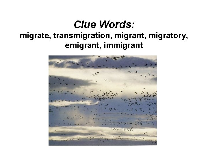 Clue Words: migrate, transmigration, migrant, migratory, emigrant, immigrant 