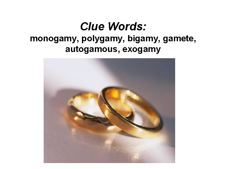 Clue Words: monogamy, polygamy, bigamy, gamete, autogamous, exogamy 