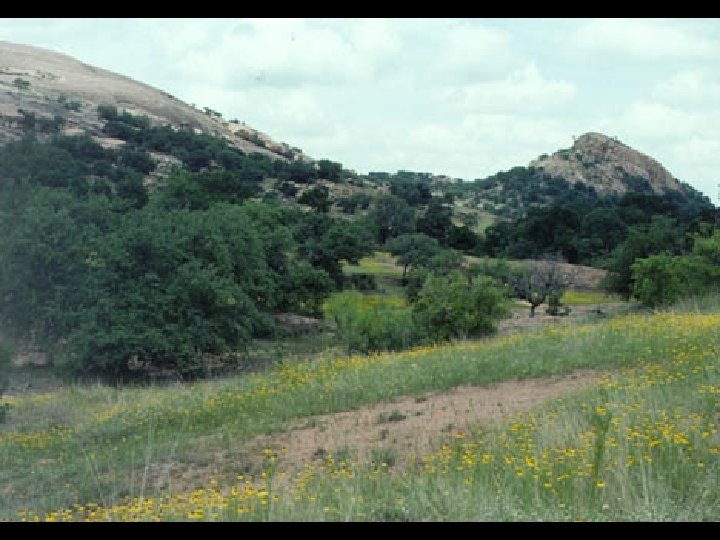 Complex topography on Enchanted Rock 