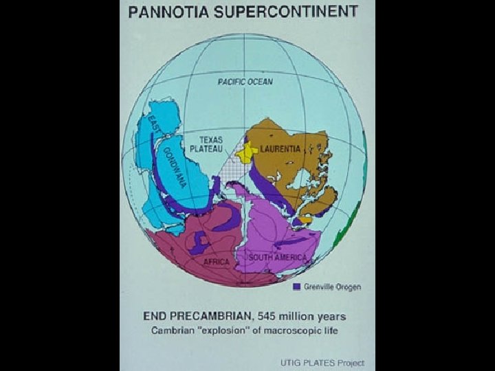 PLATES Lower Paleozoic reconstruction 