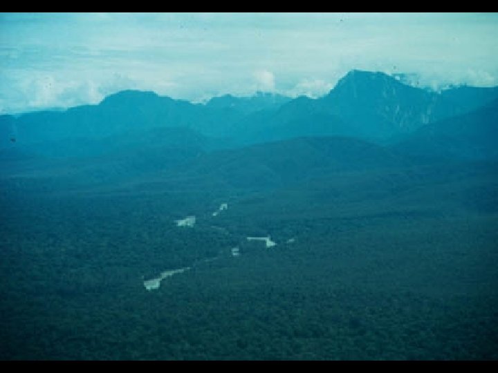 New Guinea 